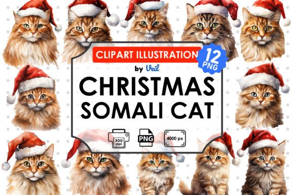 Christmas Somali Cat Clipart Bundle for Illustrations