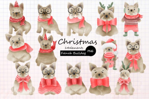 Hand-drawn Christmas French Bulldog PNG Review